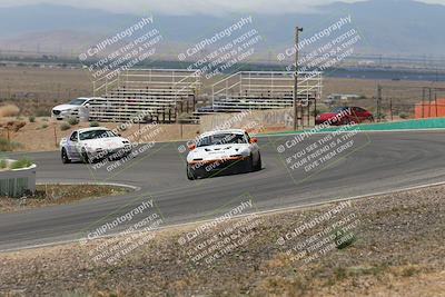 media/May-03-2025-Lucky Dog Racing (Sat) [[206de64b9d]]/Turn 4 B (1150am-130pm)/